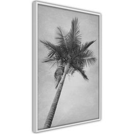 Juliste Artgeist High Palm Tree kehyksillä eri kokoja