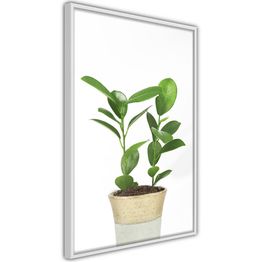 Juliste Artgeist Plant In Pot kehyksillä eri kokoja