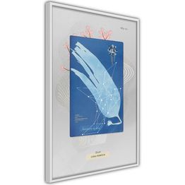 Juliste Artgeist Alga kehyksillä eri kokoja