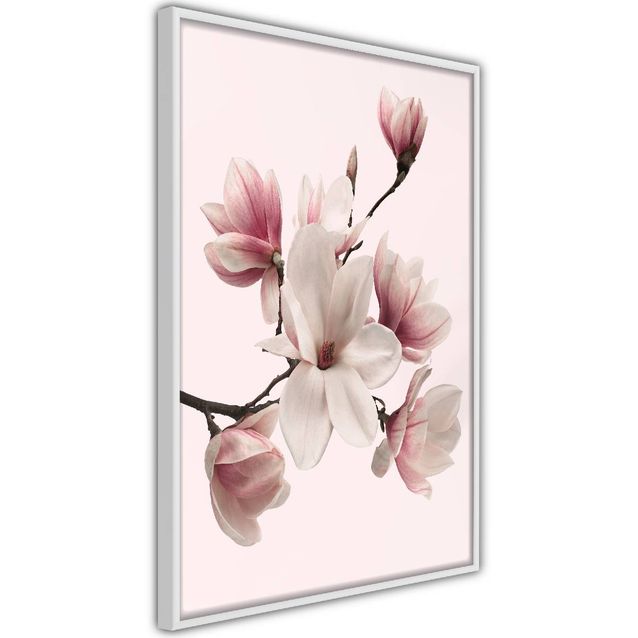 Juliste Artgeist Delicate Magnolias kehyksillä eri kokoja