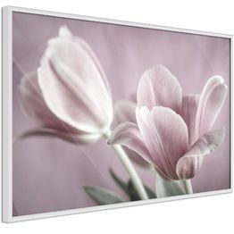Juliste Artgeist Pink Tulips kehyksillä eri kokoja
