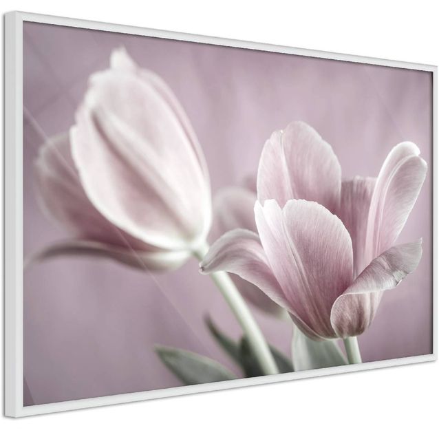 Juliste Artgeist Pink Tulips kehyksillä eri kokoja