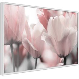Juliste Artgeist Fabulous Tulips kehyksillä eri kokoja