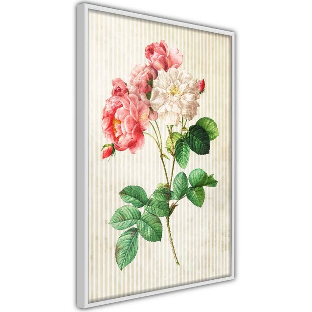 Juliste Artgeist Heavenly Rose kehyksillä eri kokoja