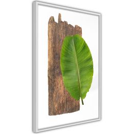 Juliste Artgeist Authority of Nature kehyksillä eri kokoja