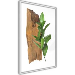 Juliste Artgeist Fascinating Nature kehyksillä eri kokoja