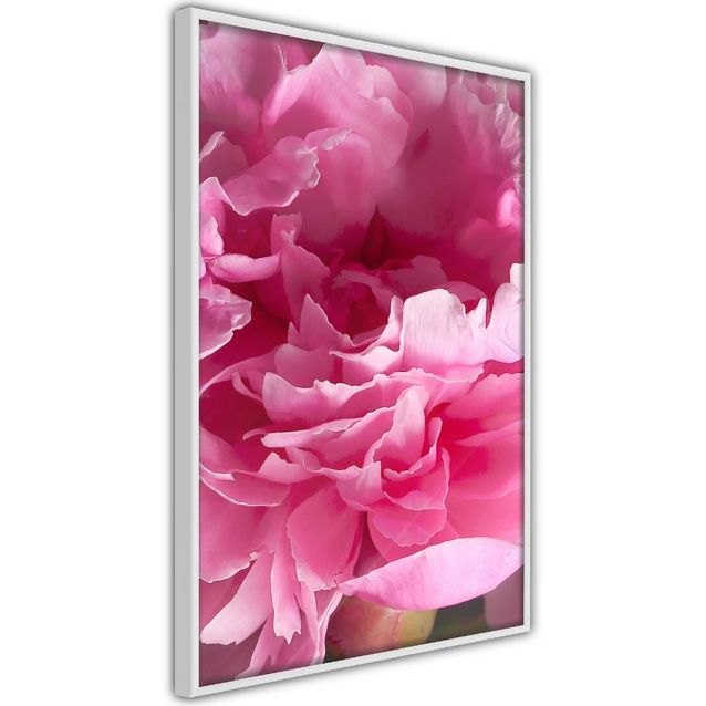 Juliste Artgeist Beautiful Peonies kehyksillä eri kokoja