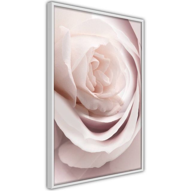 Juliste Artgeist Porcelain Rose kehyksillä eri kokoja