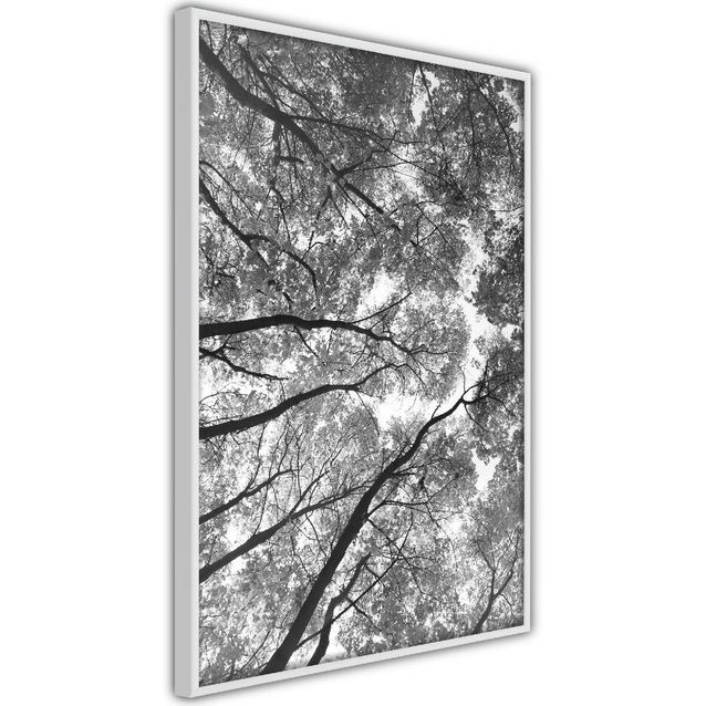 Juliste Artgeist High Trees kehyksillä eri kokoja