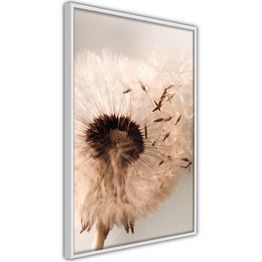 Juliste Artgeist Summer Blast kehyksillä eri kokoja