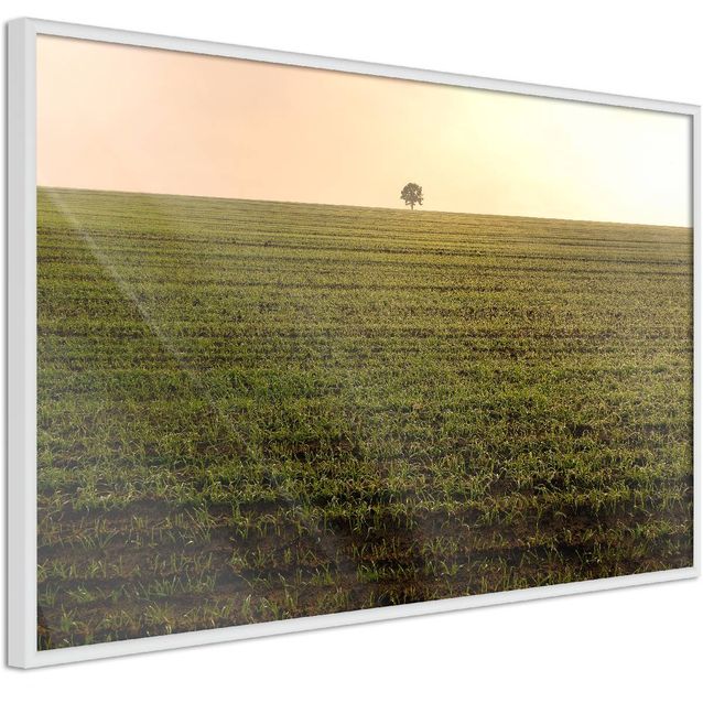 Juliste Artgeist Autumn Morning kehyksillä eri kokoja