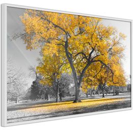 Juliste Artgeist Autumn in the Park kultainen kehyksillä eri kokoja