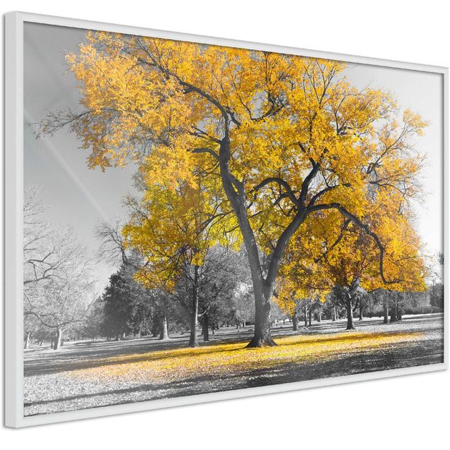 Juliste Artgeist Autumn in the Park kultainen kehyksillä eri kokoja