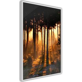 Juliste Artgeist Honey Forest kehyksillä eri kokoja