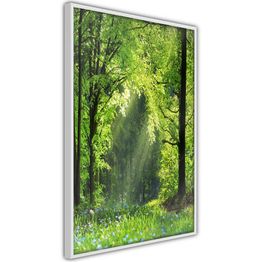 Juliste Artgeist Rebirth of Nature kehyksillä eri kokoja