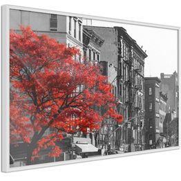 Juliste Artgeist Autumn in New York kehyksillä eri kokoja