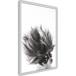 Juliste Artgeist Chihuahua kehyksillä eri kokoja