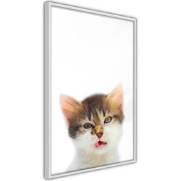 Juliste Artgeist Vexed Cat kehyksillä eri kokoja