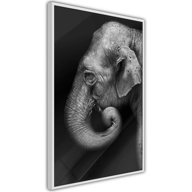 Juliste Artgeist Portrait of Elephant kehyksillä eri kokoja