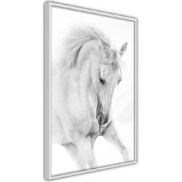 Juliste Artgeist White Horse kehyksillä eri kokoja