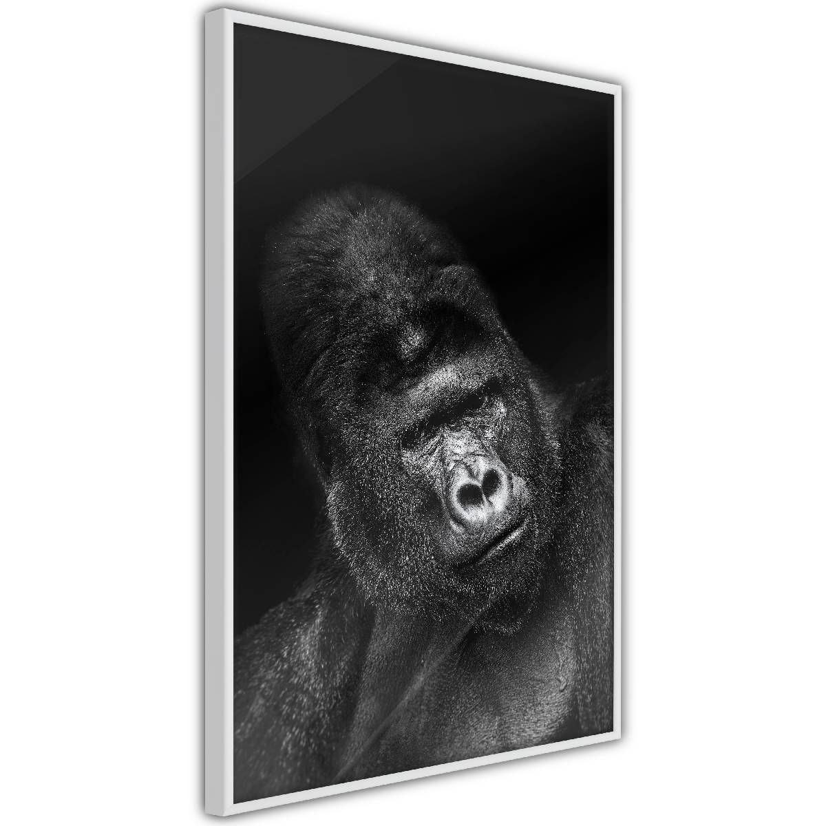 Juliste Artgeist Gorilla kullanvärinen kehys 60x40cm