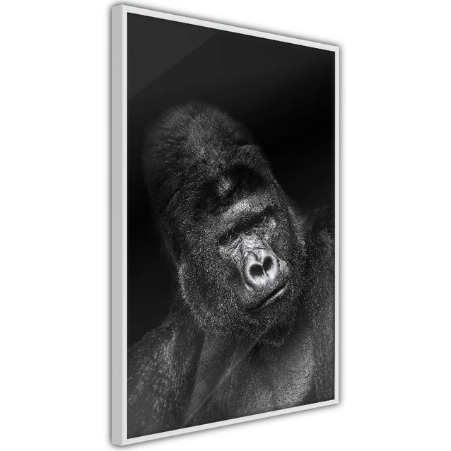 Juliste Artgeist Gorilla kehyksillä eri kokoja