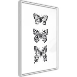 Juliste Artgeist Three Butterflies kehyksillä eri kokoja