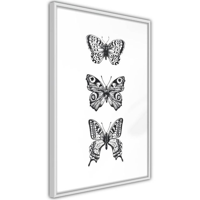 Juliste Artgeist Three Butterflies kehyksillä eri kokoja