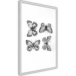 Juliste Artgeist Four Butterflies kehyksillä eri kokoja
