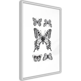 Juliste Artgeist Five Butterflies kehyksillä eri kokoja