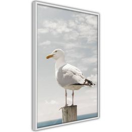 Juliste Artgeist Seagull kehyksillä eri kokoja