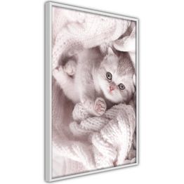 Juliste Artgeist Lover of Rest kehyksillä eri kokoja