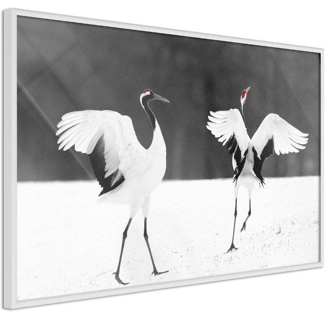 Juliste Artgeist Dancing Cranes kehyksillä eri kokoja