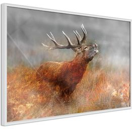 Juliste Artgeist Roaring Deer kehyksillä eri kokoja