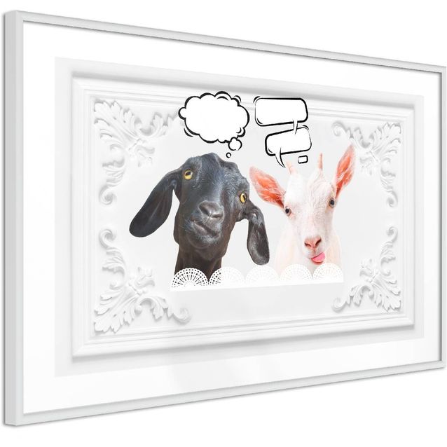 Juliste Artgeist Funny Goats kehyksillä eri kokoja