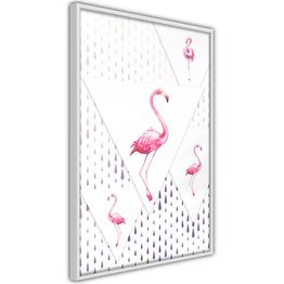 Juliste Artgeist Flamingo Family kehyksillä eri kokoja