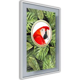 Juliste Artgeist Parrot In The Jungle kehyksillä eri kokoja