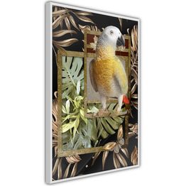 Juliste Artgeist Golden Parrot kehyksillä eri kokoja