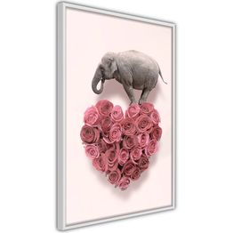 Juliste Artgeist Enamored Elephant kehyksillä eri kokoja