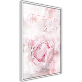 Juliste Artgeist Fleeting Beauty kehyksillä eri kokoja