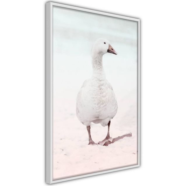 Juliste Artgeist Winter Duck kehyksillä eri kokoja