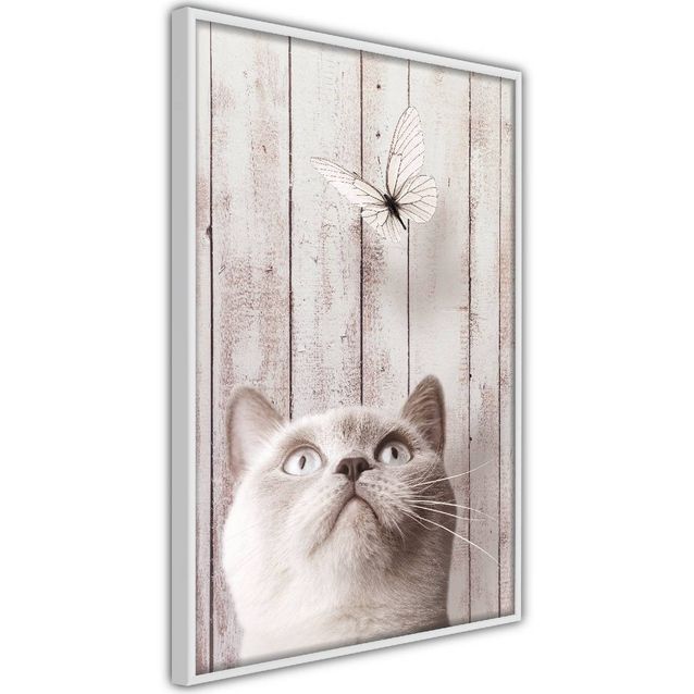 Juliste Artgeist Cat's Nature kehyksillä eri kokoja