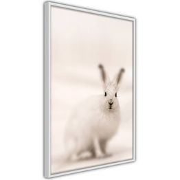 Juliste Artgeist Fearful Look kehyksillä eri kokoja