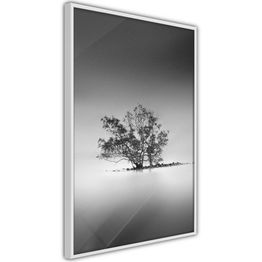 Juliste Artgeist Tree on the Island kehyksillä eri kokoja