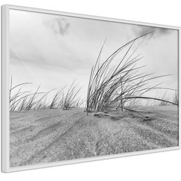 Juliste Artgeist Seaside Reed kehyksillä eri kokoja