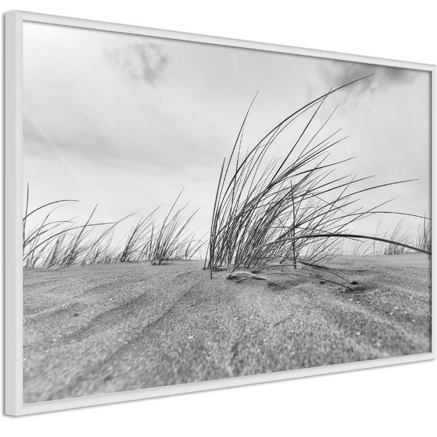 Juliste Artgeist Seaside Reed kehyksillä eri kokoja