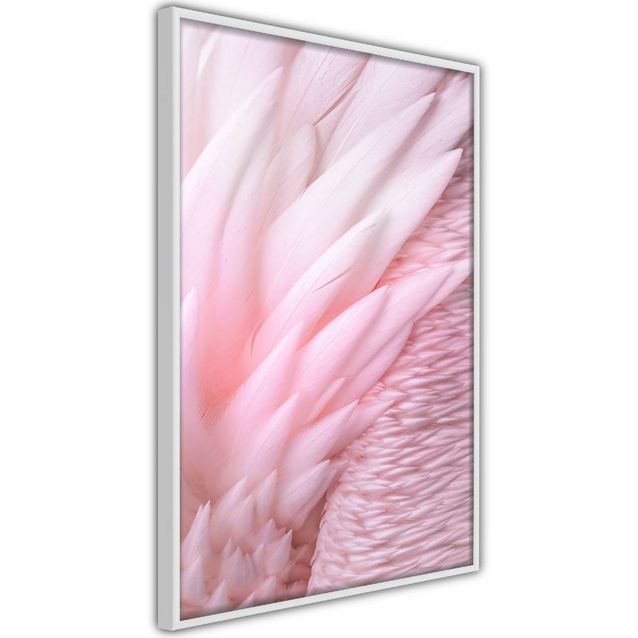 Juliste Artgeist Feathers kehyksillä eri kokoja