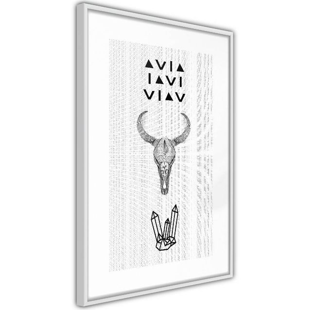 Juliste Artgeist Animal Skull kehyksillä eri kokoja