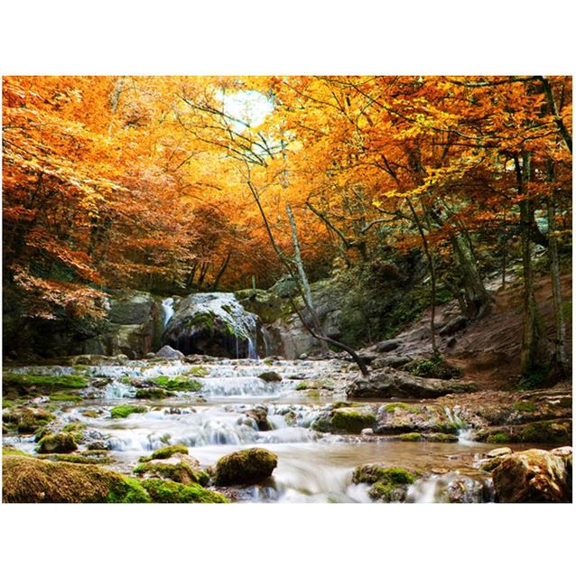 Kuvatapetti Artgeist Efterår - vesiputous eri kokoja