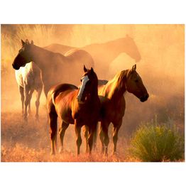 Maisematapetti Artgeist Wild hevoset steppe, eri kokoja